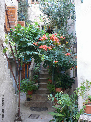 View of the city of Cres photo