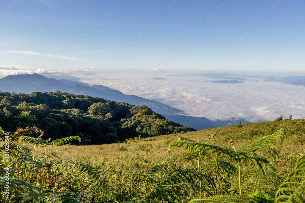 Fototapeta premium Mountain pastures in the morning mist.