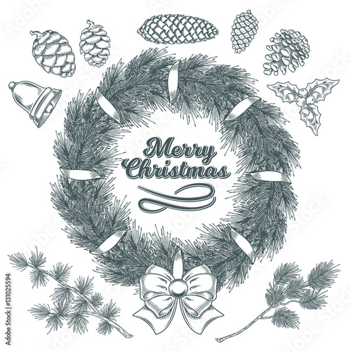 Set botanical elements - cones and branches of pine, spruce, larch