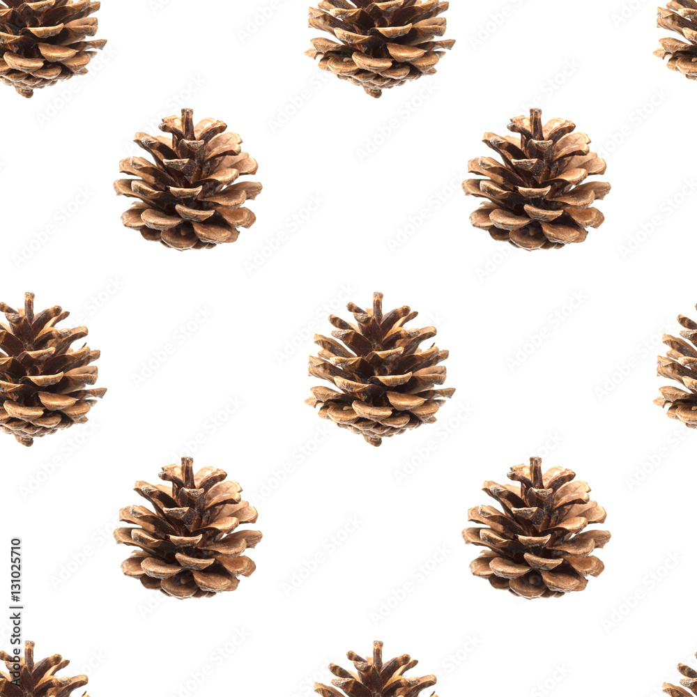 Pine cones seamless pattern isolated on white background, with clipping path Pine cones seamless pattern isolated on white background, with clipping path
