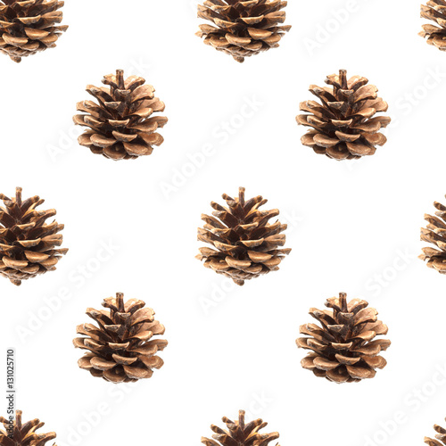 Pine cones seamless pattern isolated on white background, with clipping path
