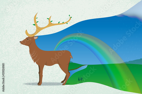 deer and spring rain