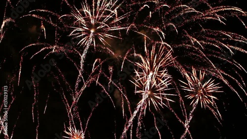 Festive fireworks in the night sky