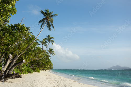 Silhouette Island, Seychelles, Remote beach with Palmes