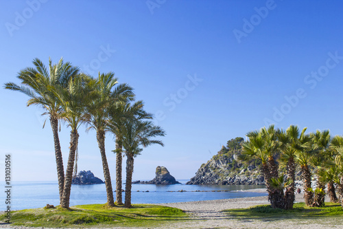 Palm trees on a beach in Almunecar, Andalusia region, Costa del photo