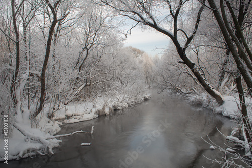 Река Пехорка с инеем на деревьях © spanikratov