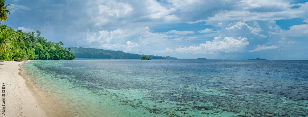 Batu Lima near Biodiversity Resort, Gam Island, West Papuan, Raja Ampat, Indonesia