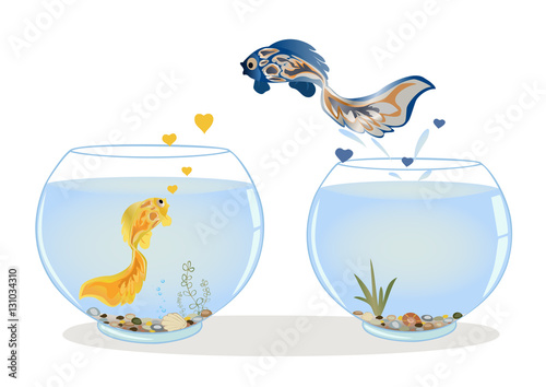 Fish jumping to his lover
