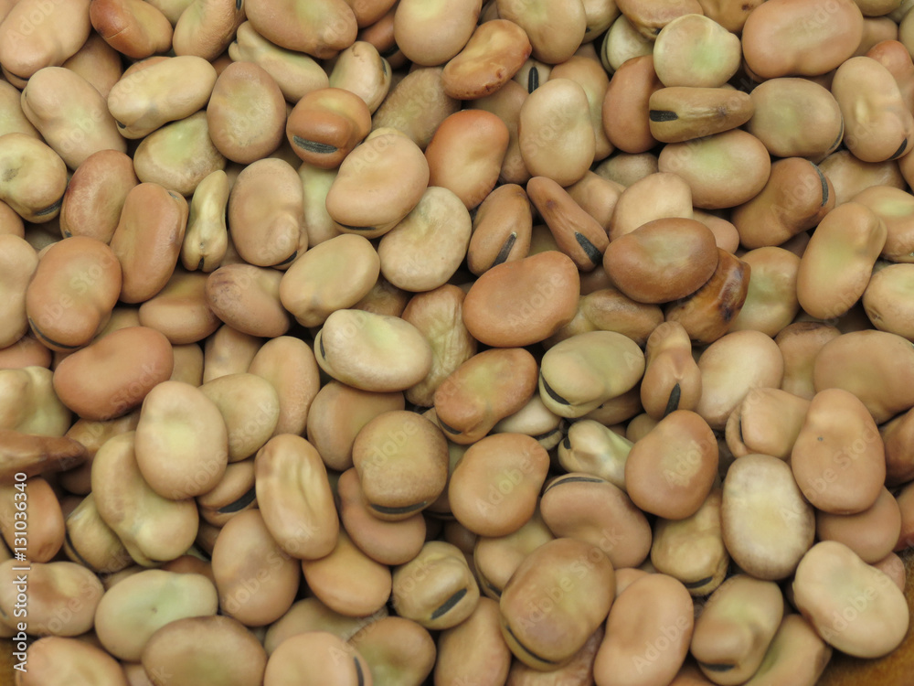 Broad bean background Broad bean background