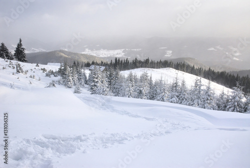 Pathway in snowed mountains © yablochniuk