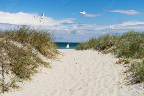 Fototapeta Naklejka Na Ścianę i Meble -  Strand in Prerow