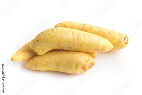 Barred Potato. Baroa