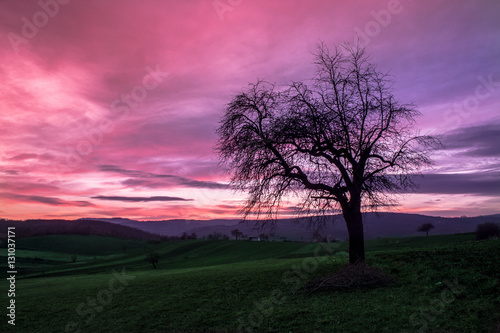 Pink sunset © Melli