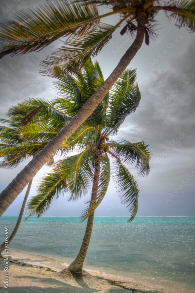 Fototapeta premium Tropical Beach