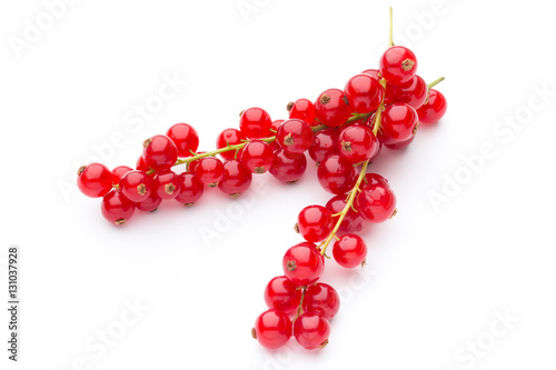 Red Currant close up isolated on white.