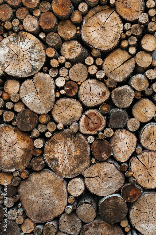 wood logs background