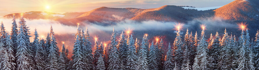 frosty sunrise in Carpathians