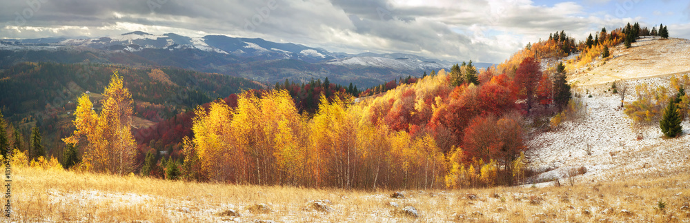 Fototapeta premium Golden Forest Ridge Sokilsky