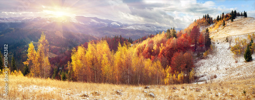 Golden Forest Ridge Sokilsky © panaramka