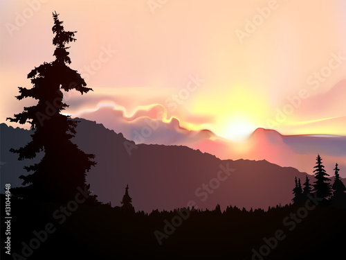 Silhouette of coniferous trees on the background of mountains and colorful sky. Sunset.