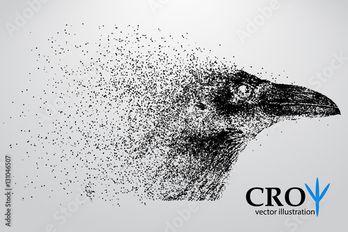 Silhouette of a crow from particles.