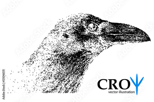 Silhouette of a crow from particles.