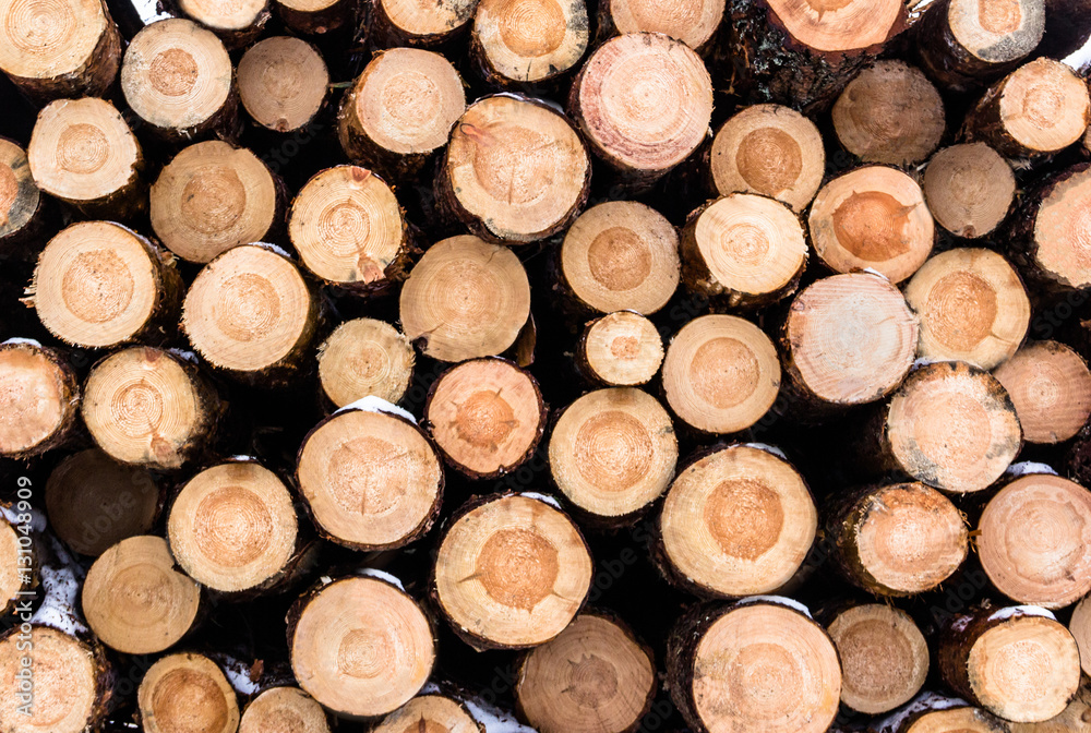A stacked heap of chopped logs from pine retain their bark and s A stacked heap of chopped logs from pine retain their bark and s