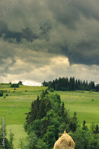 Hills covered with green grass under blue sky