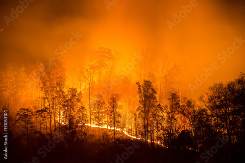 Wildfire, Appalachian Mountains