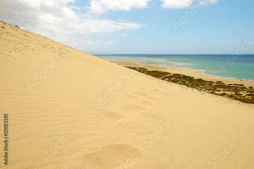 Dunes on the beach Playa de Sotavento on the Canary Island Fuerteventura  Spain.