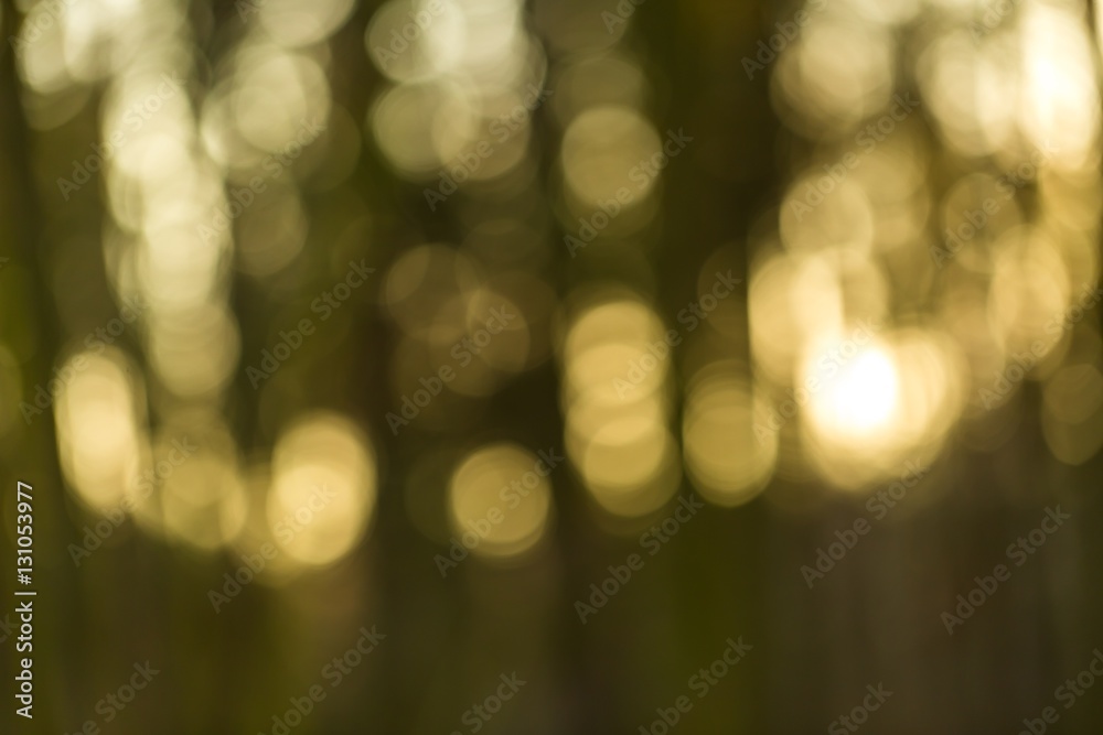 Winter forest bokeh background