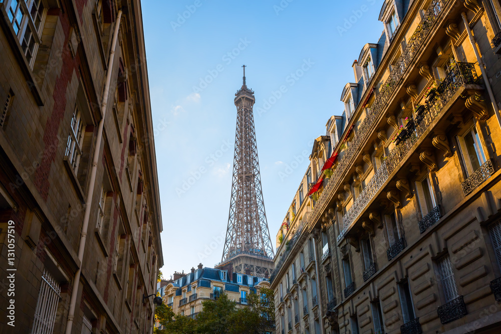 Fototapeta premium Eiffel Tower in Paris, France