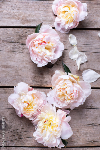 Tender pink peonies flowers on aged wooden background. © daffodilred