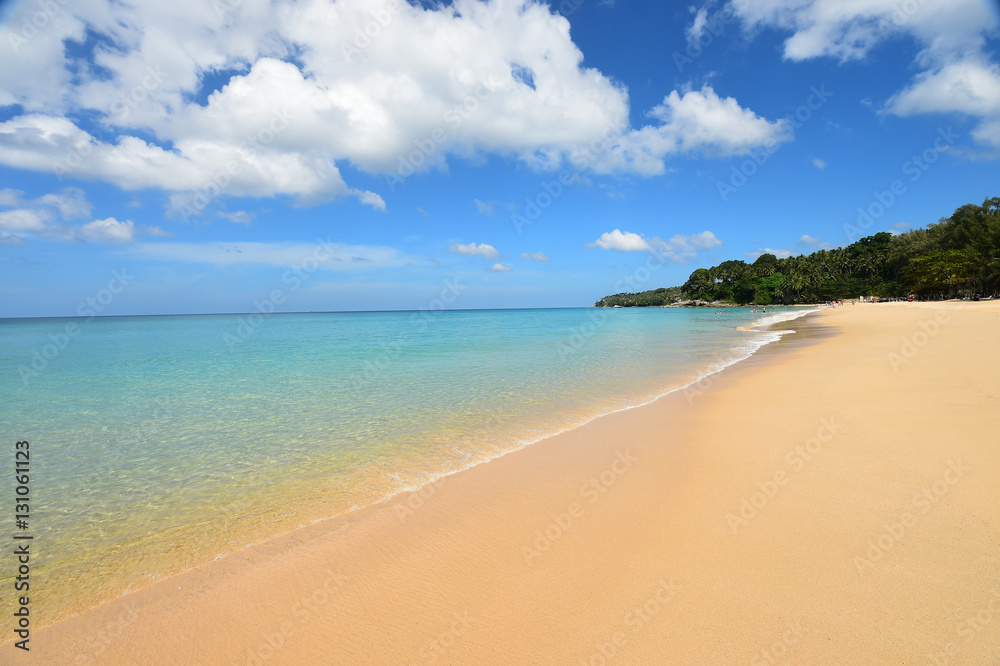 Obraz premium beautiful beach and tropical sea