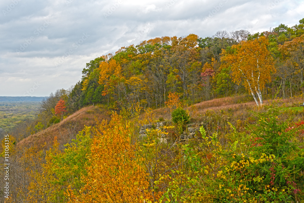 Fall Colors on a MIdwest Bluff