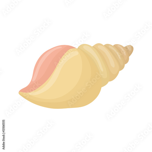 sea shell creature icon vector illustration graphic design