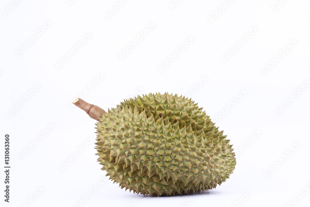durian mon thong is fruit tropical durian and king of fruits durian on ...
