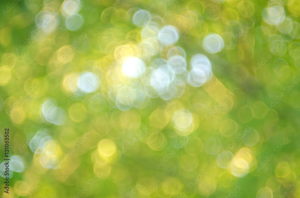Nature green leaf with bokeh sun light