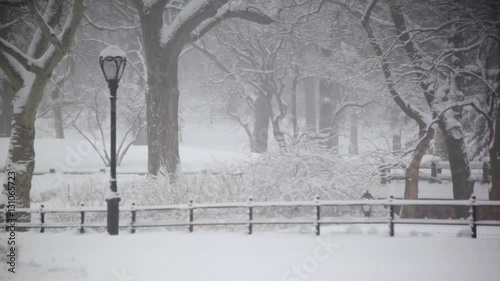 Snow In New York Central Park