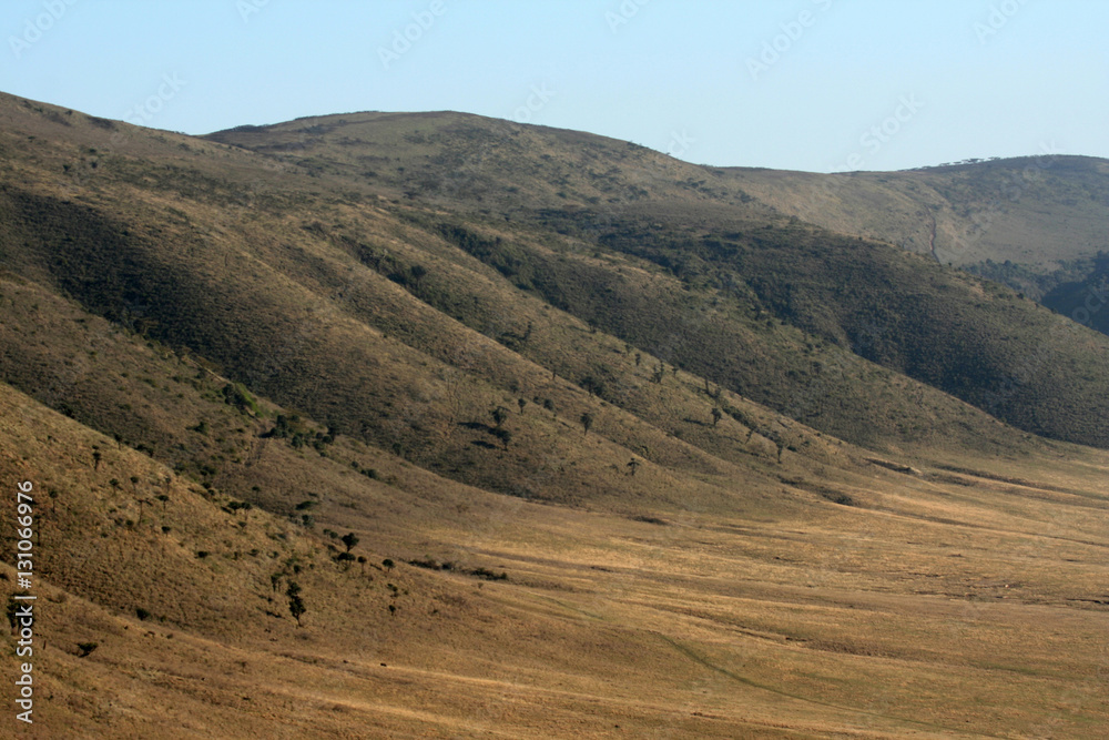 Fototapeta premium Ngorongoro Crater, Tanzania, Africa