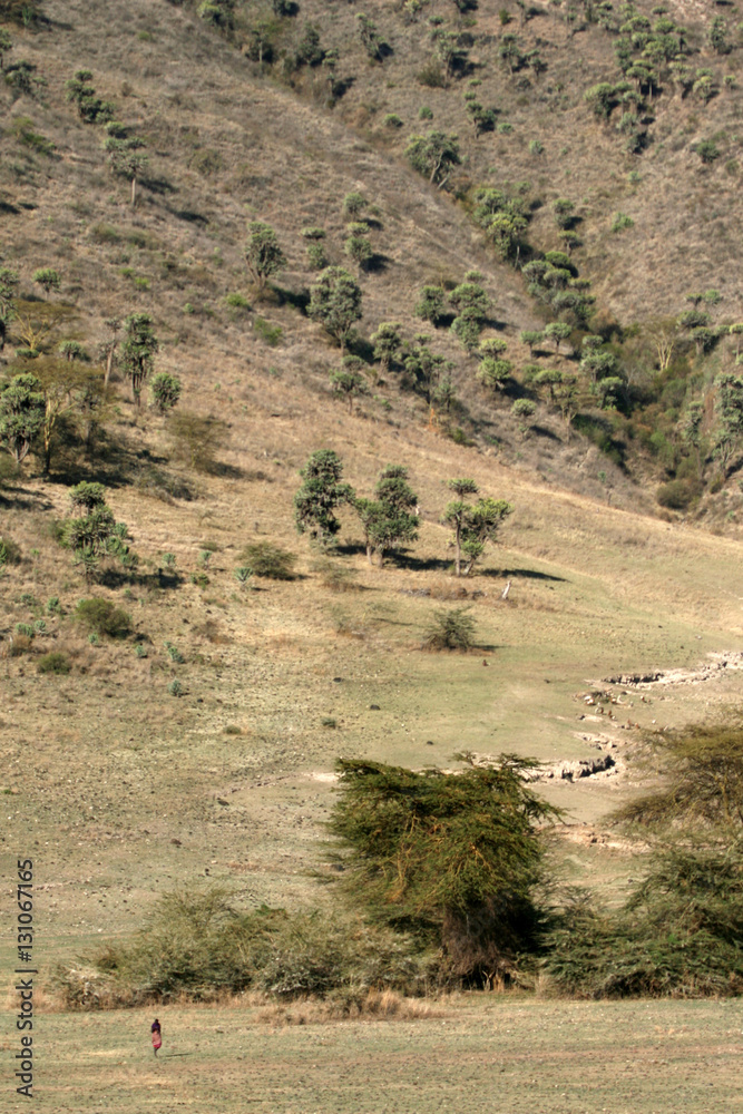 Ngorongoro Crater, Tanzania, Africa