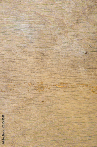 Texture of wood background closeup