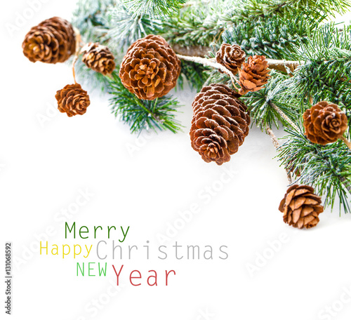 Christmas tree branch