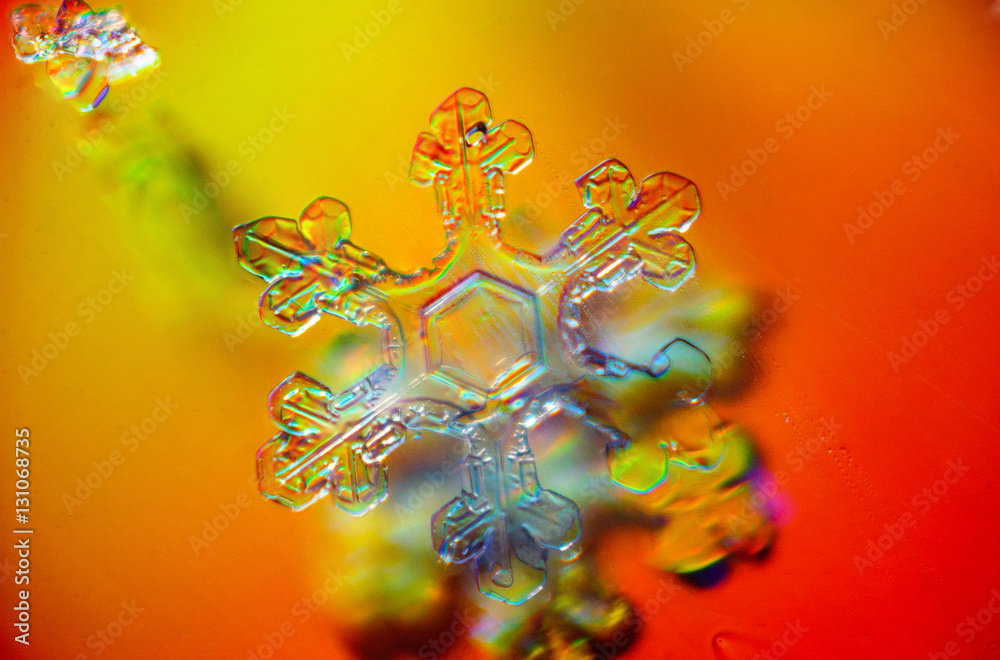 beautiful unique snowflake patterns of frozen snow