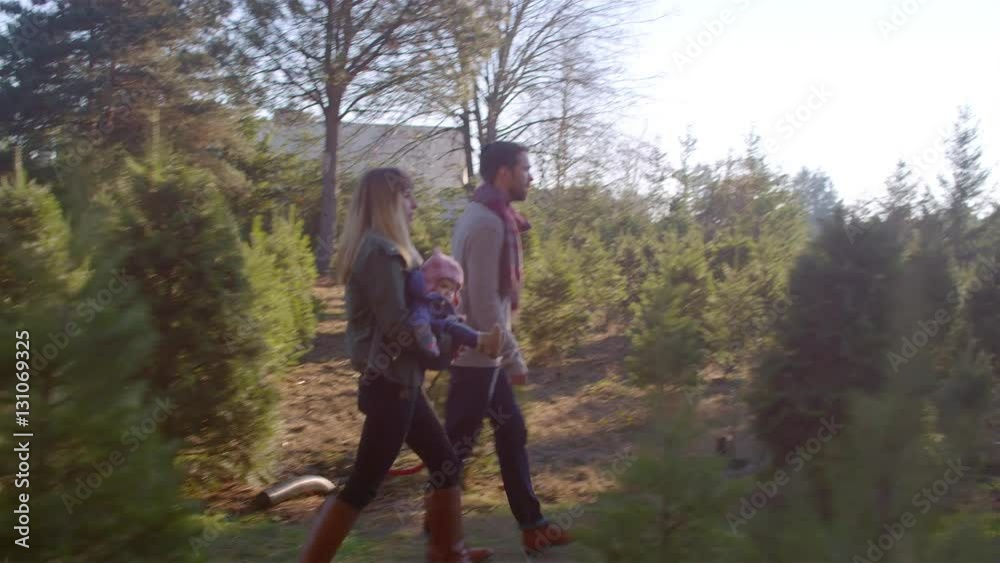 A young family walking through a Christmas tree farm, man carrying a saw A young family walking through a Christmas tree farm, man carrying a saw
