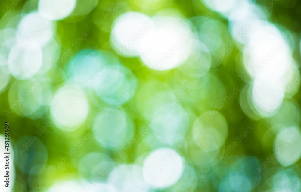 Green blurred background and sunlight Green blurred background and sunlight