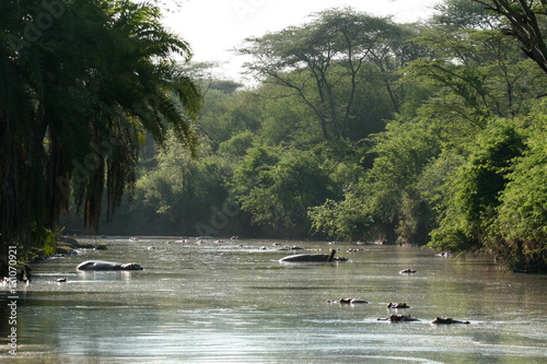 Photos River - Serengeti Safari, Tanzania, Africa