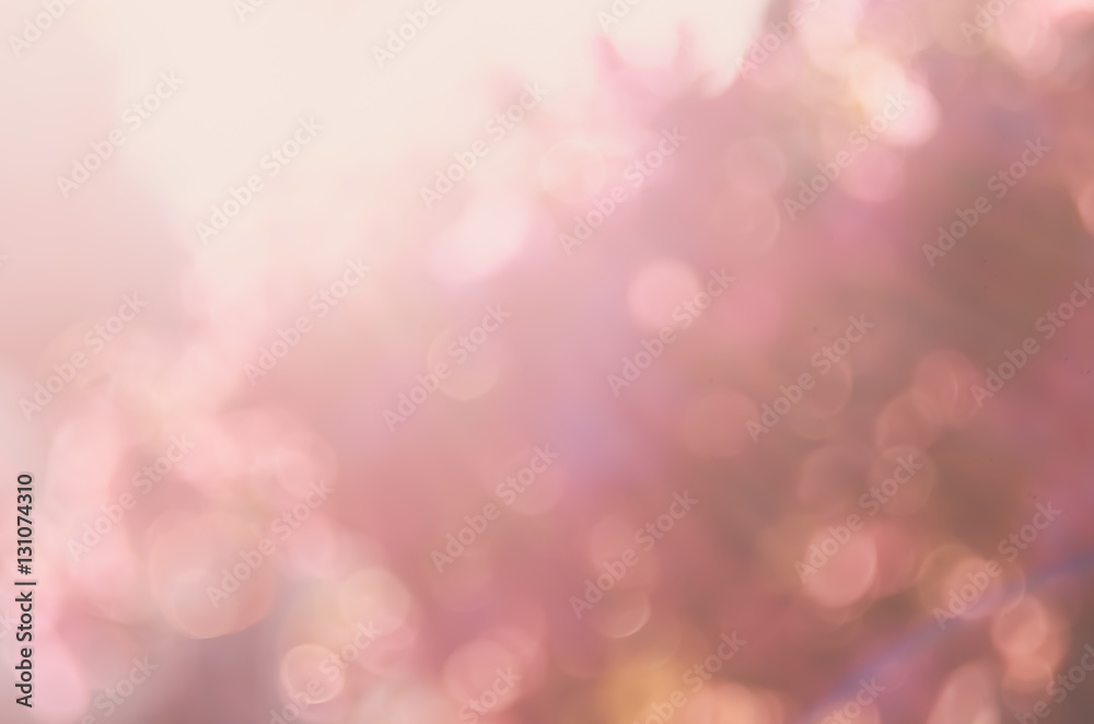 Blur nature pink flower flora with bokeh sun light abstract background. - obrazy, fototapety, plakaty 