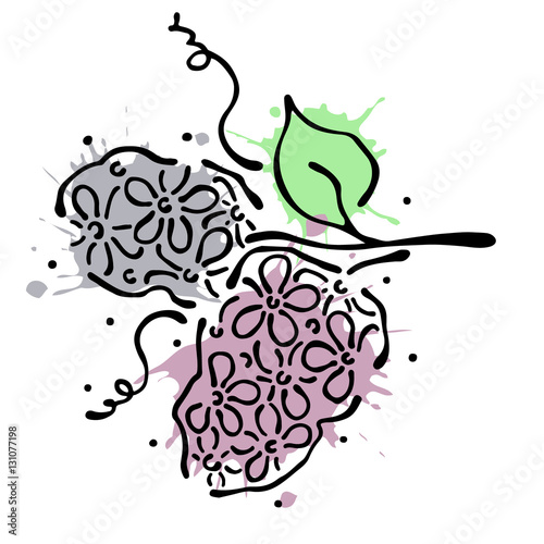 Fototapeta Naklejka Na Ścianę i Meble -  Vector floral illustration. bouquet with flowers, leaves, decorative elements isolated on the white background. Hand drawn contour lines and strokes. Doodle style, graphic vector illustration