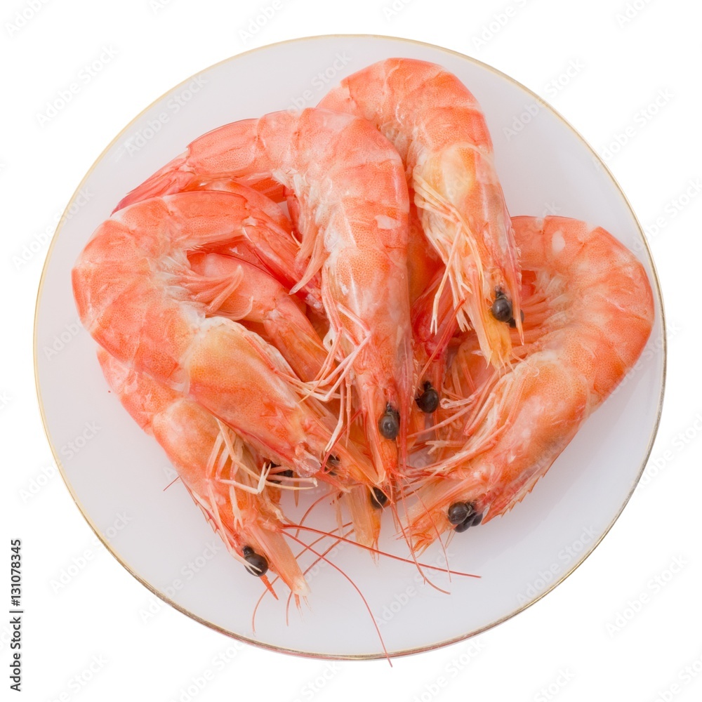 Cooked Prawns or Tiger Shrimps in White Plate Cooked Prawns or Tiger Shrimps in White Plate